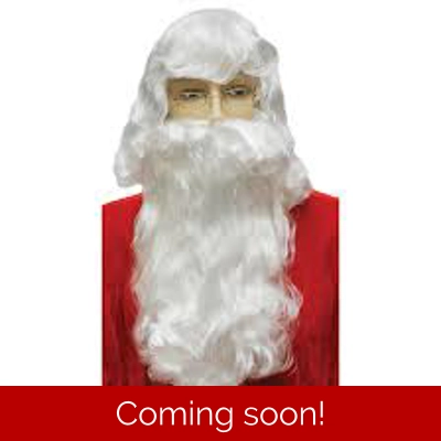Economy Santa Wig and Beard Set